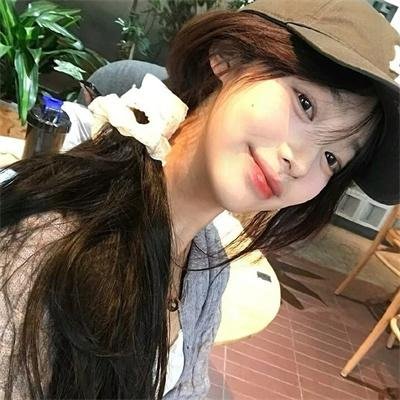 挚爱极地