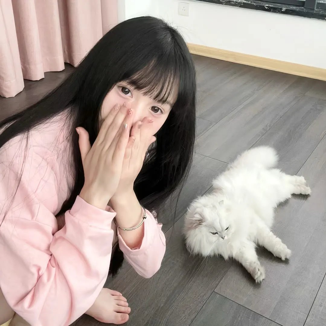 黑帮女婿